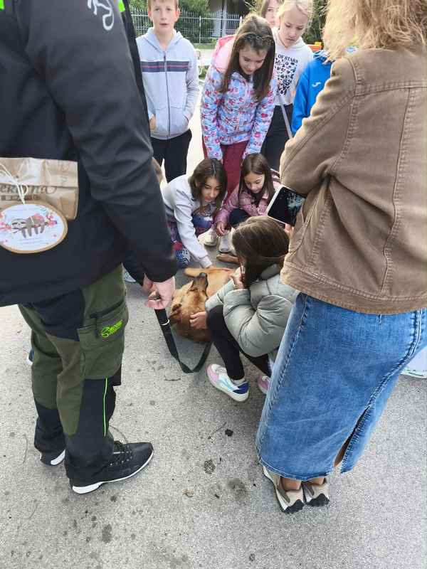 Matjaž in Rik v šoli