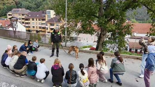 Matjaž in Rik v šoli