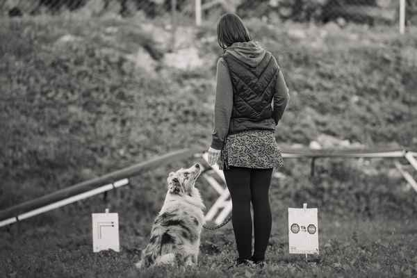 Uspehi KD Posavje v Rally Obediencu
