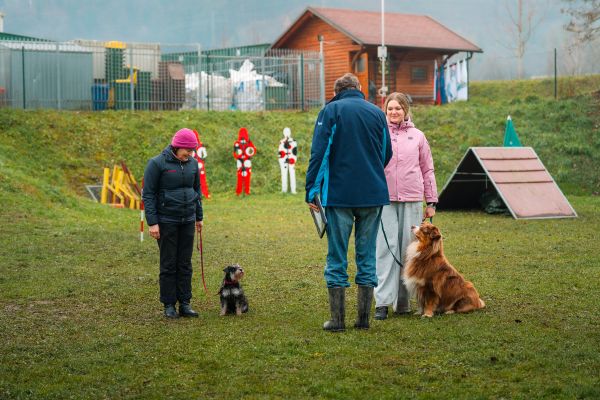 Super dan na izpitih v KD Posavju!