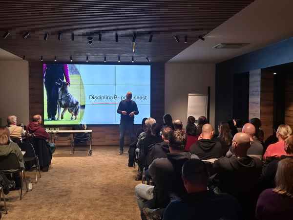 Permanentno izobraževanje – temelj strokovnosti