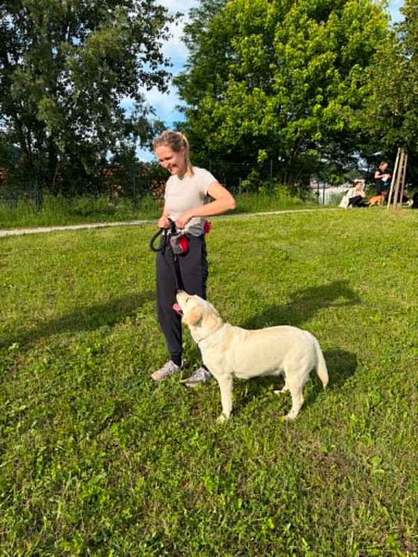 Uspešno zaključeni izpiti Male šole