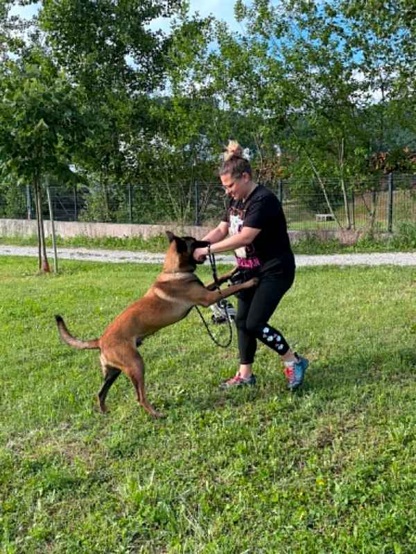 Uspešno zaključeni izpiti Male šole