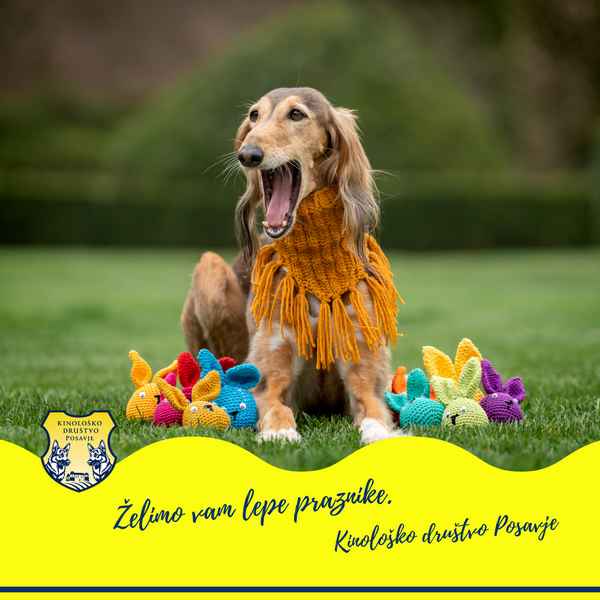 Velikonočno voščilo