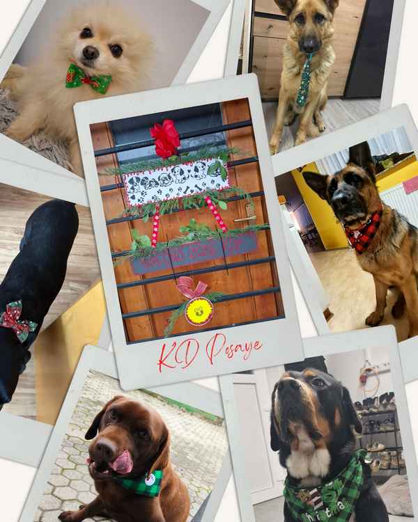 Novoletno voščilo KD Posavje